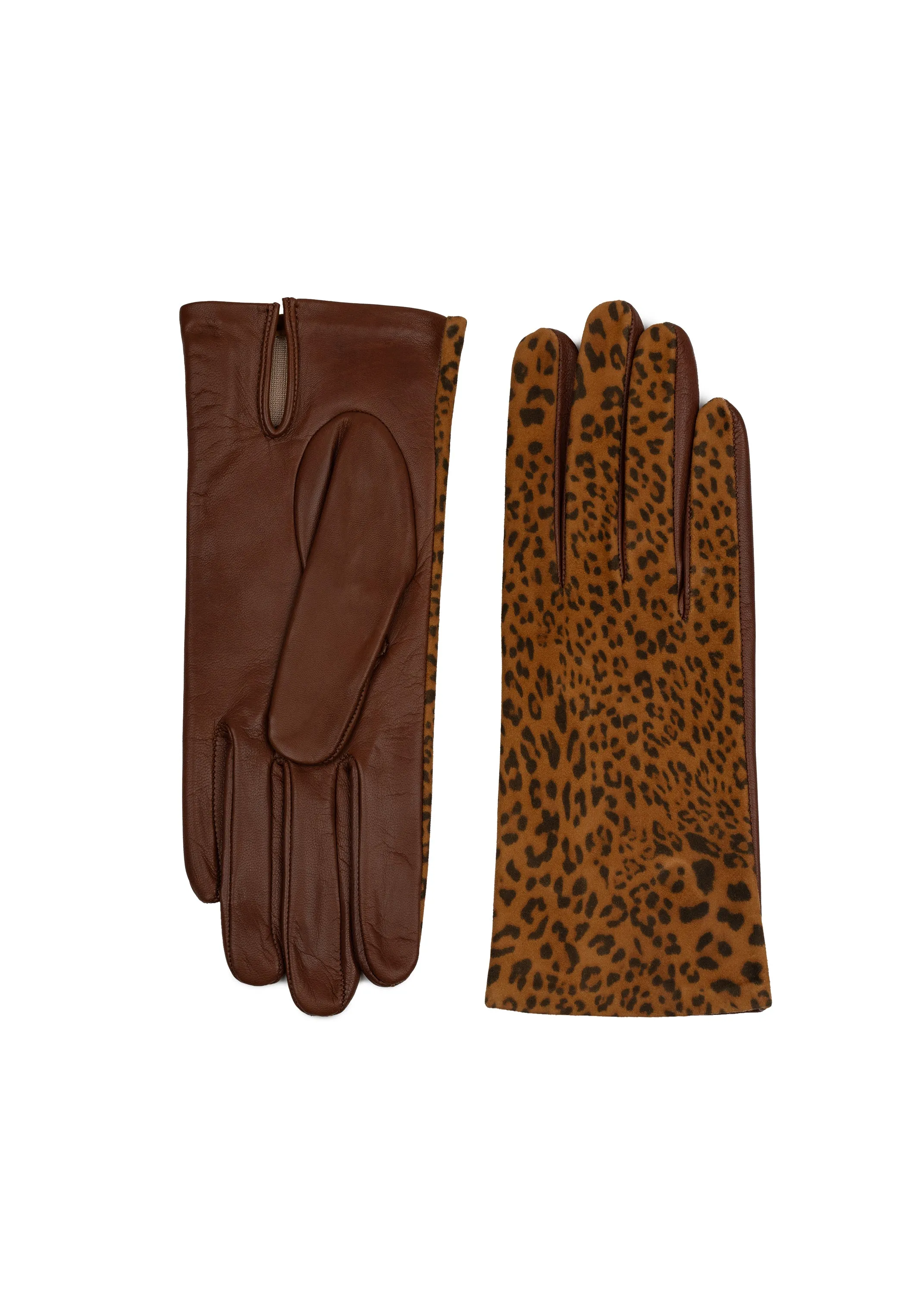 Leopardo with brown nappa palm