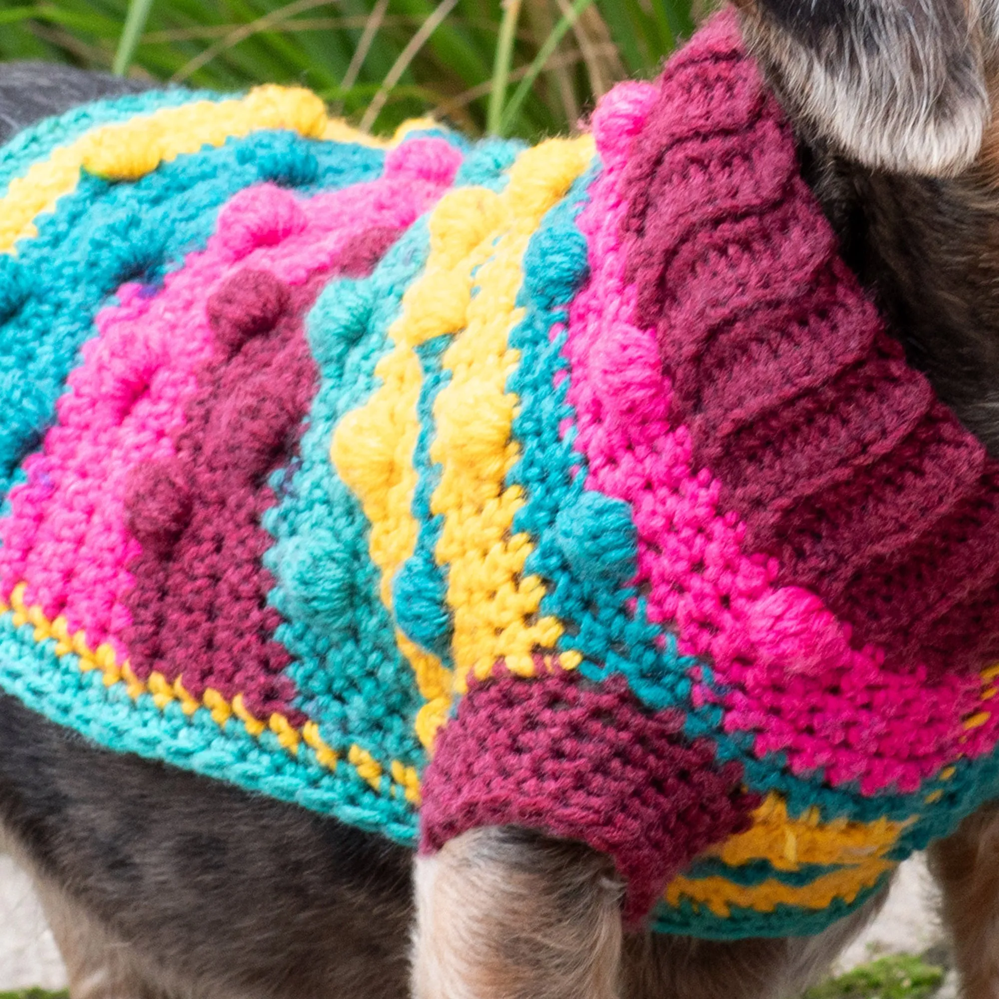 Red Heart Bits & Bobbles Crochet Dog Sweater