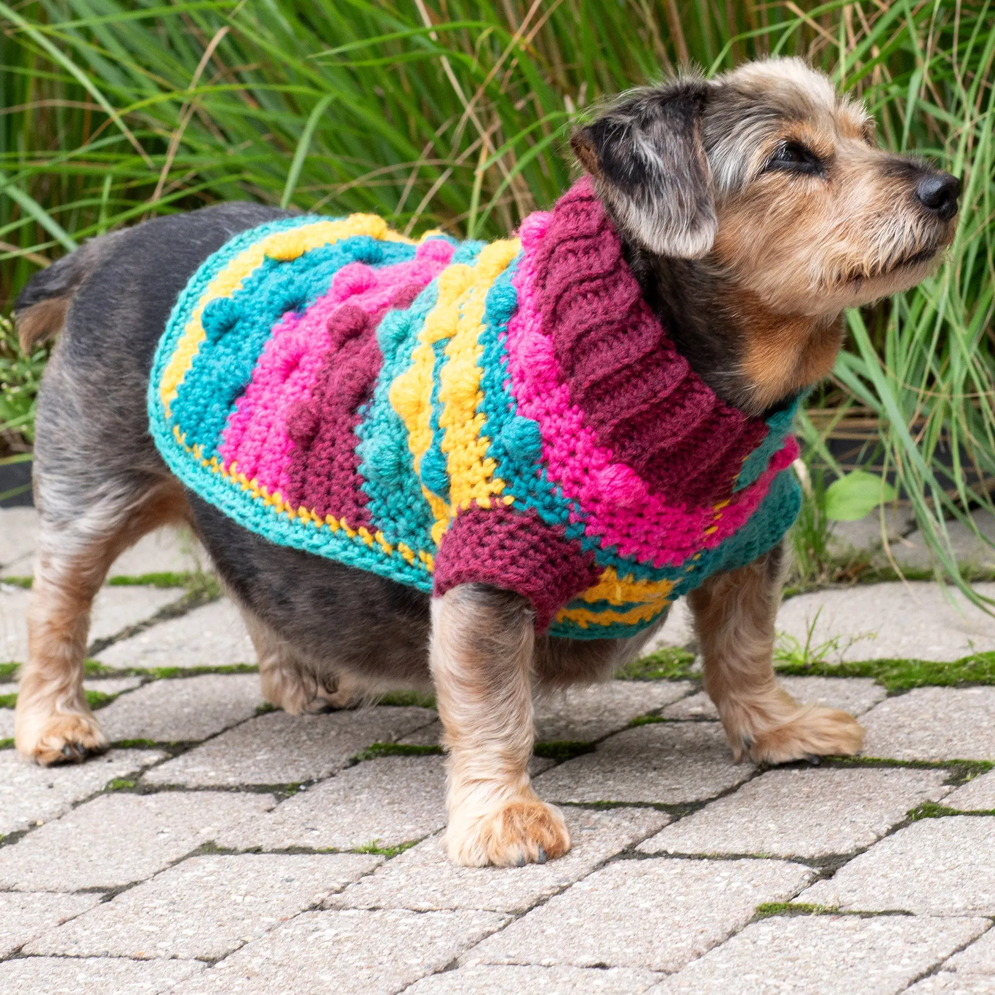 Red Heart Bits & Bobbles Crochet Dog Sweater