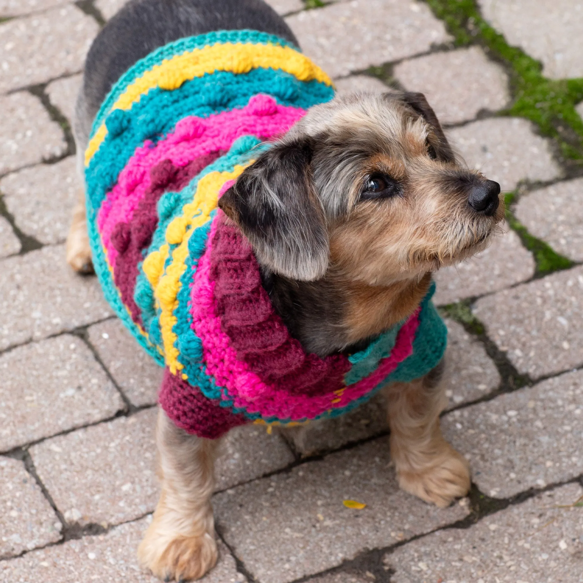 Red Heart Bits & Bobbles Crochet Dog Sweater