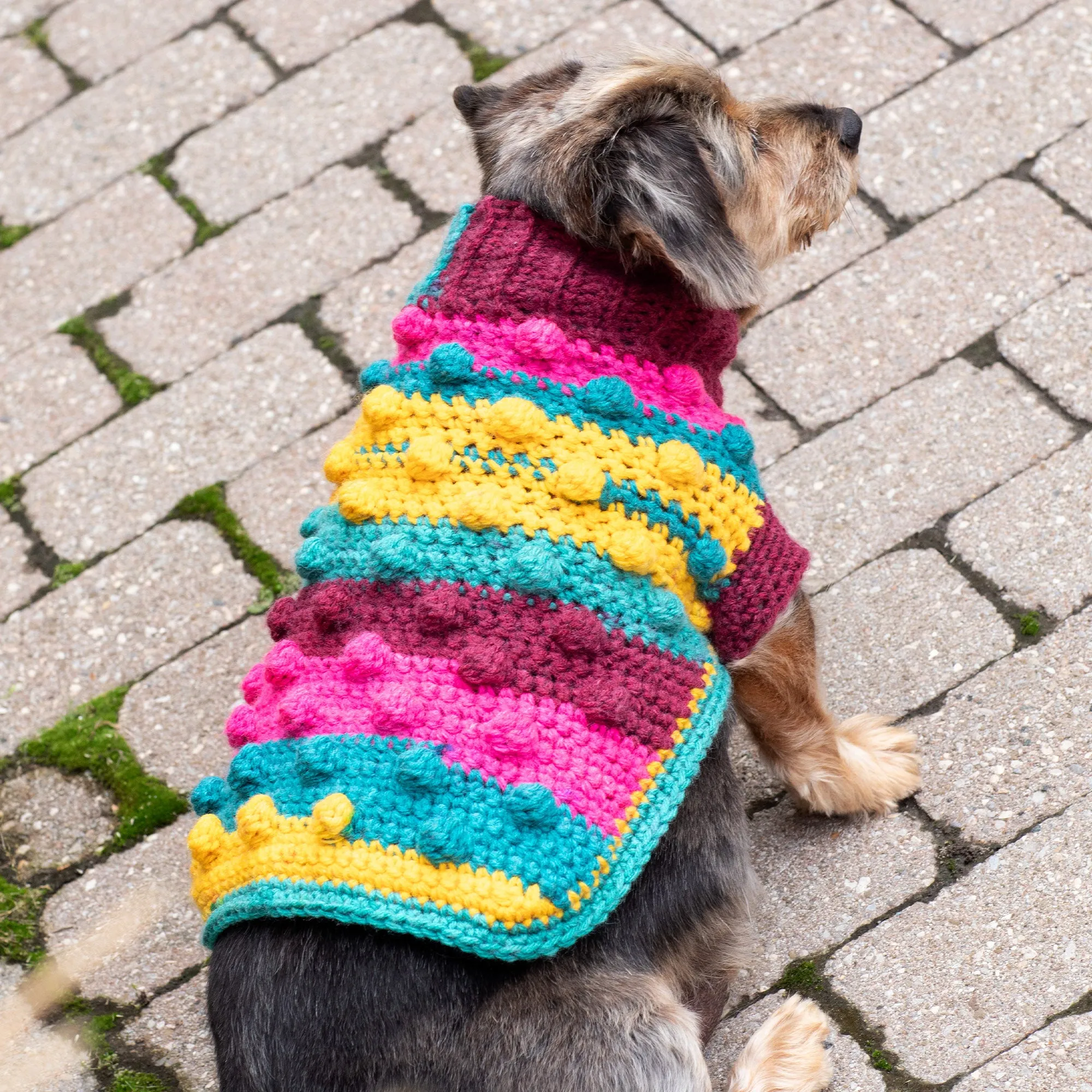 Red Heart Bits & Bobbles Crochet Dog Sweater